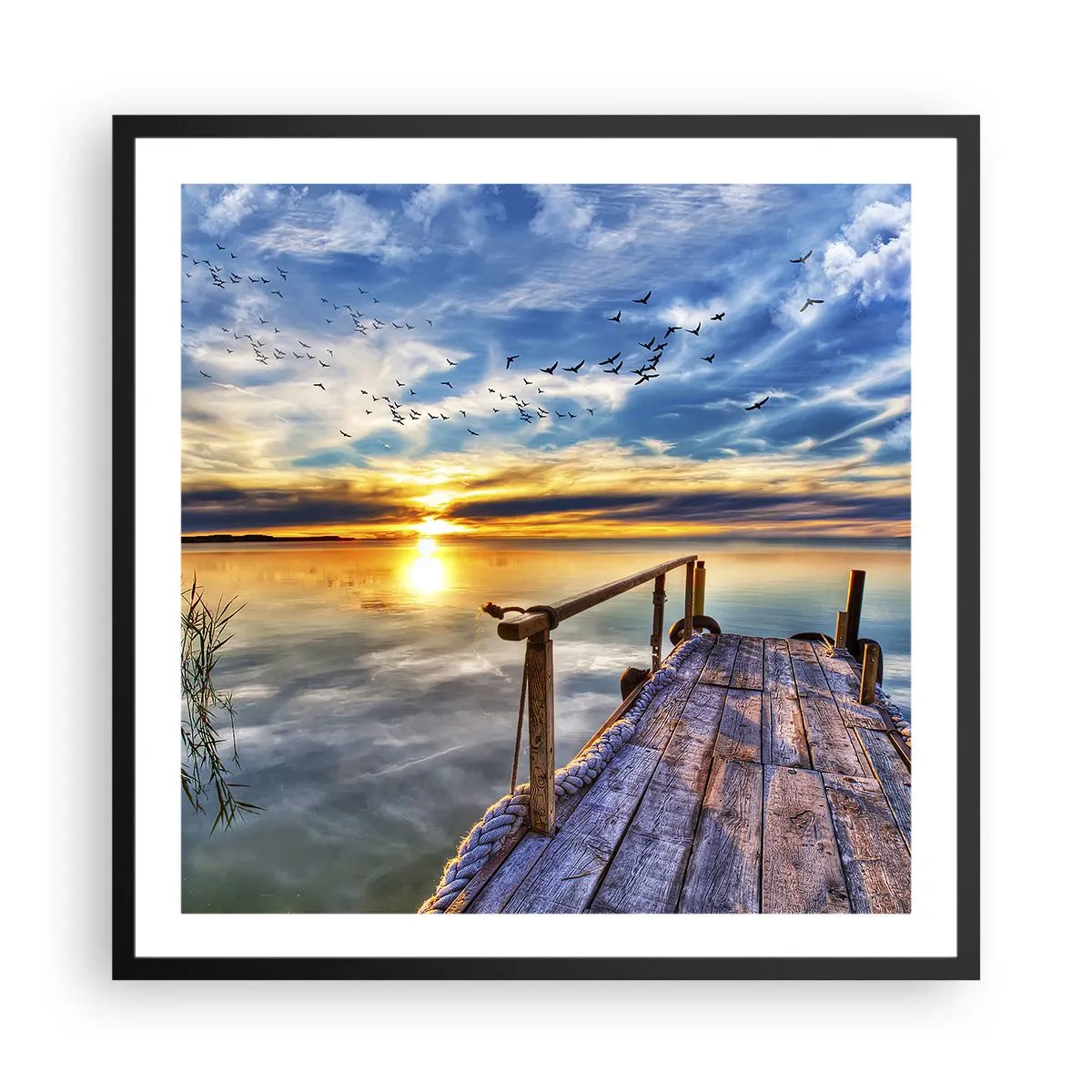 Poster in black frame - Wind is Taking a Break - 60x60 cm