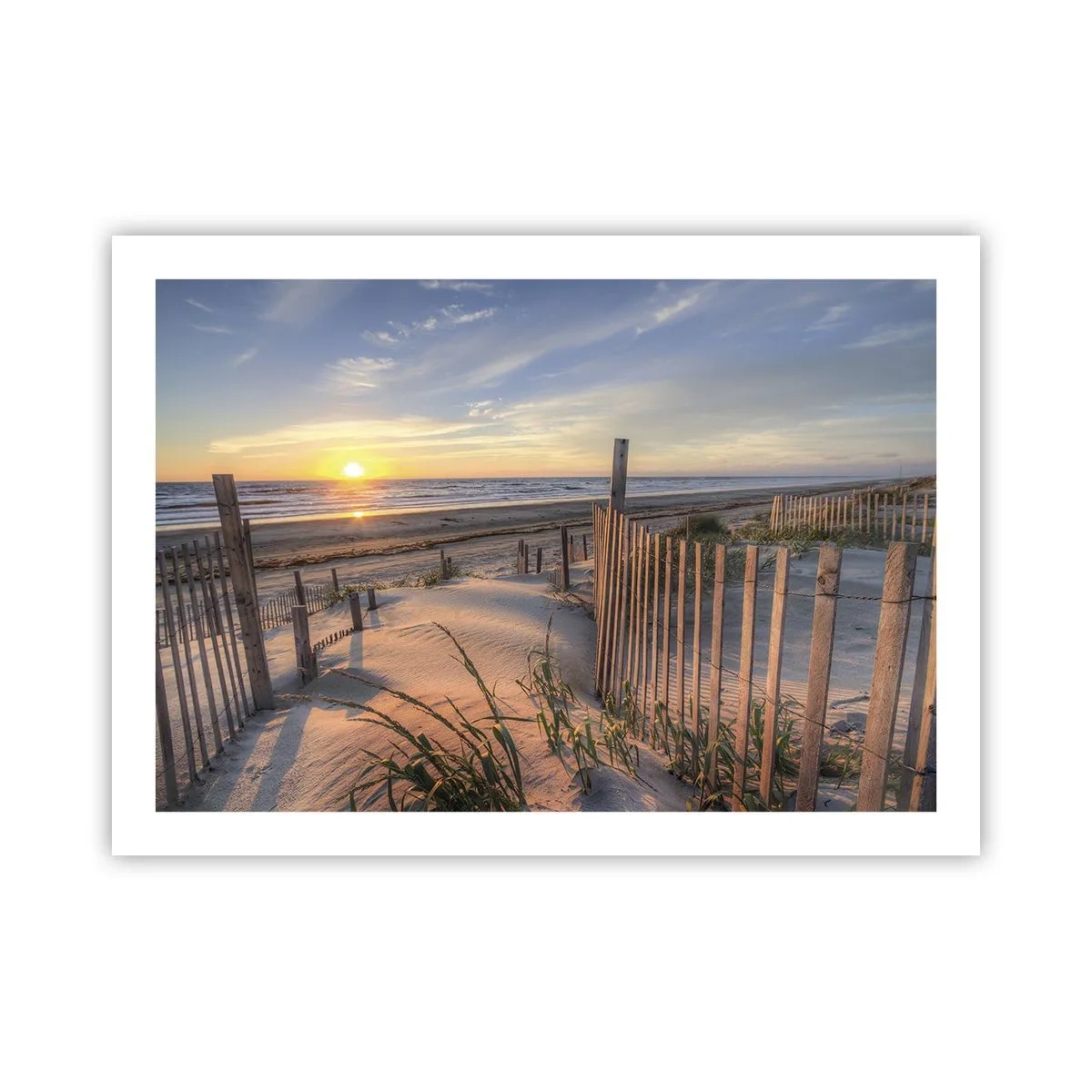 Poster - Light and Shade of the Wind - 70x50 cm