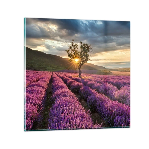 Glass picture - Lilac Coloured Aroma - 40x40 cm