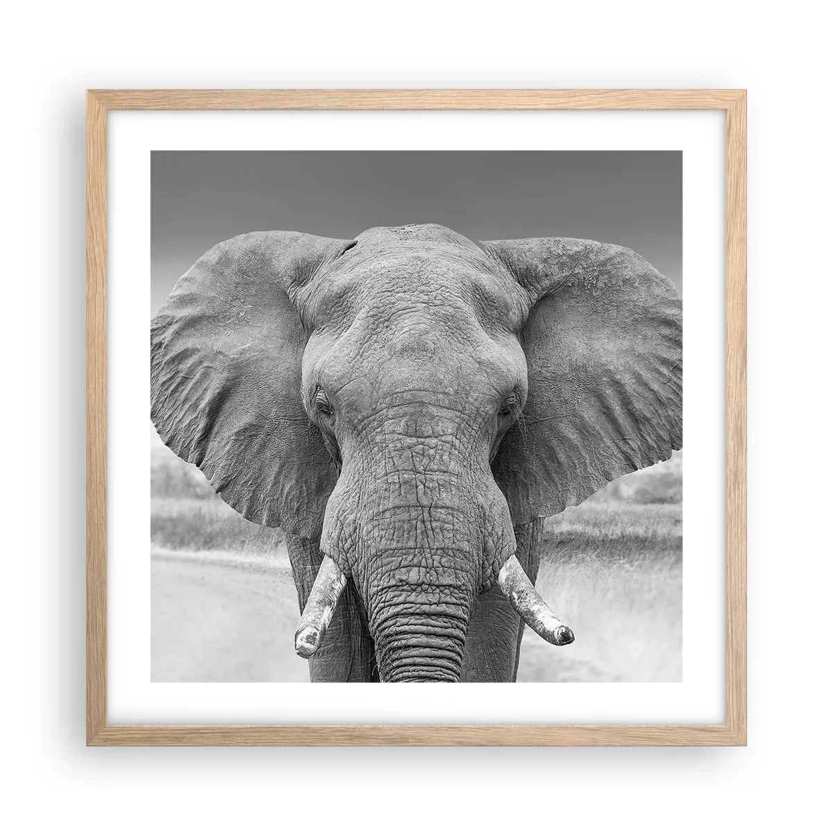 Poster in light oak frame - Welcome to My World - 50x50 cm