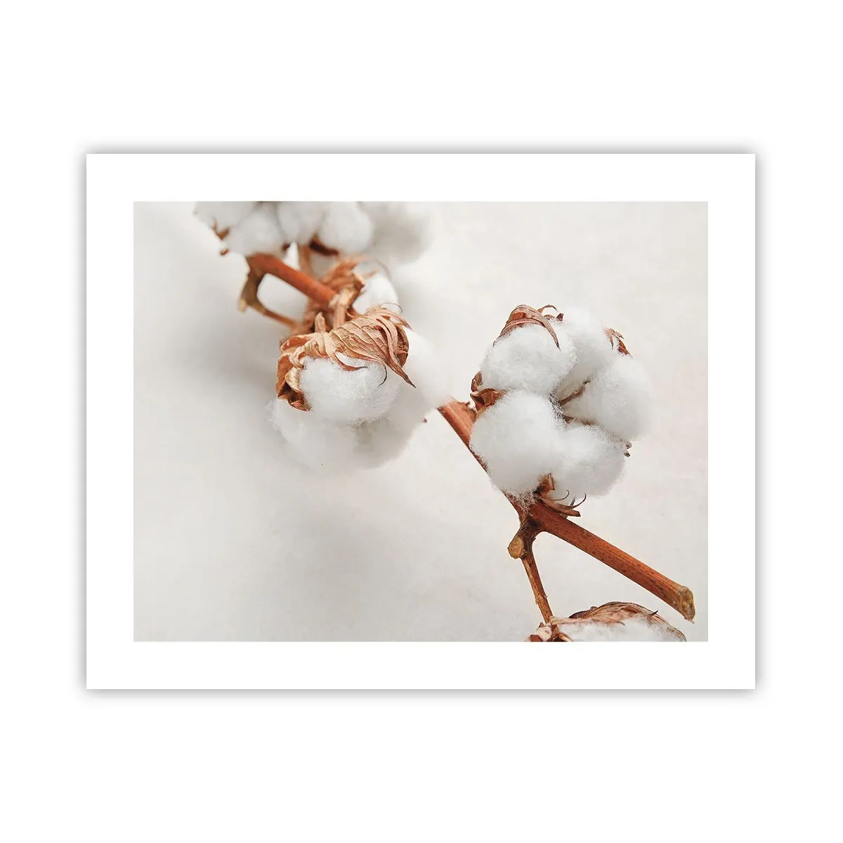 Poster - Just Cuddle It - 50x40 cm