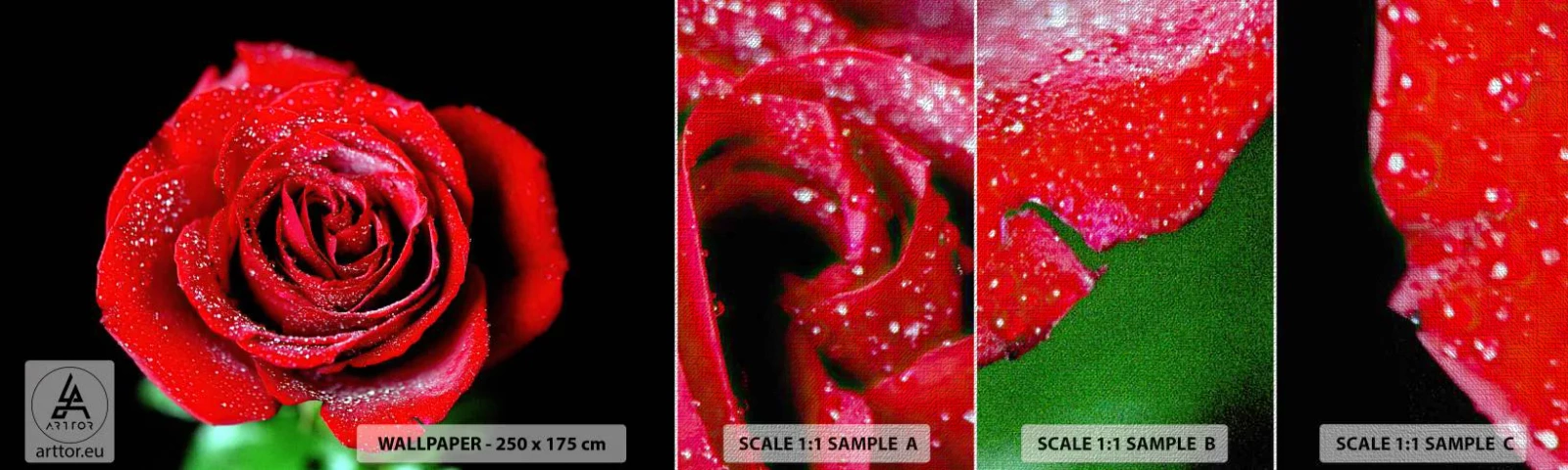 Photo Wallpaper Sample Premium Canvas - This Is Love - Flowers, Red Rose, Rose petals - 100x30 cm