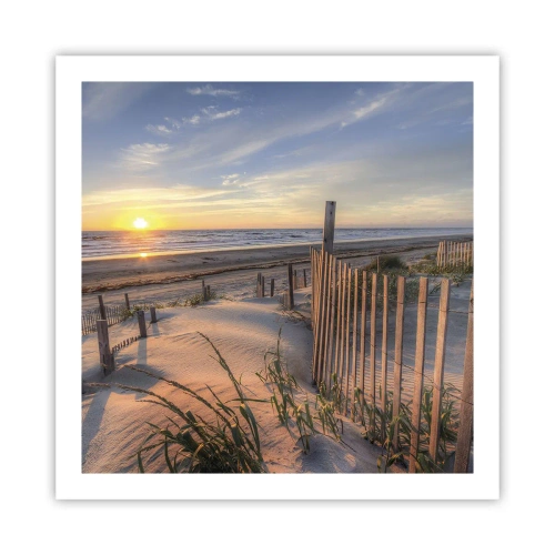 Poster - Light and Shade of the Wind - 60x60 cm