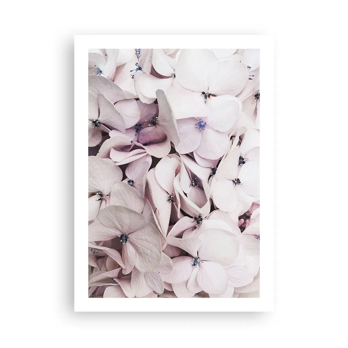 Poster - In the Flood of Flowers - 50x70 cm