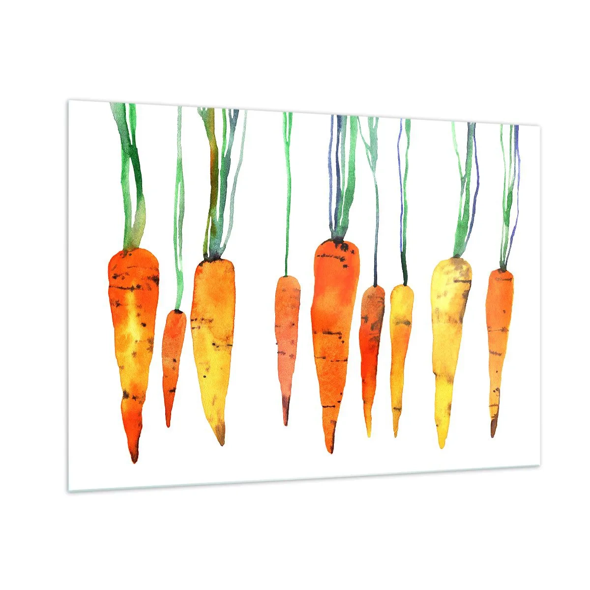 Glass picture - Beauty of Common Carrot - 100x70 cm