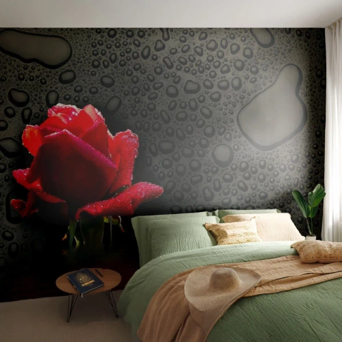 Self-Adhesive Photo Wallpaper Deluxe Sticker - Red and Black - Flowers, Rose, Water - 100x70 cm