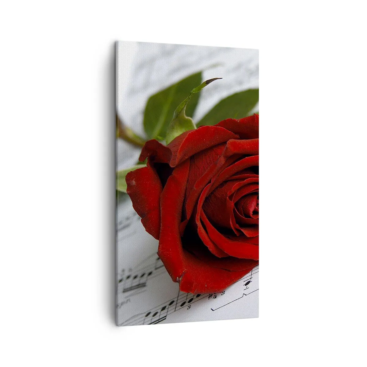Canvas picture - Music of Feelings in Scarlet - 45x80 cm