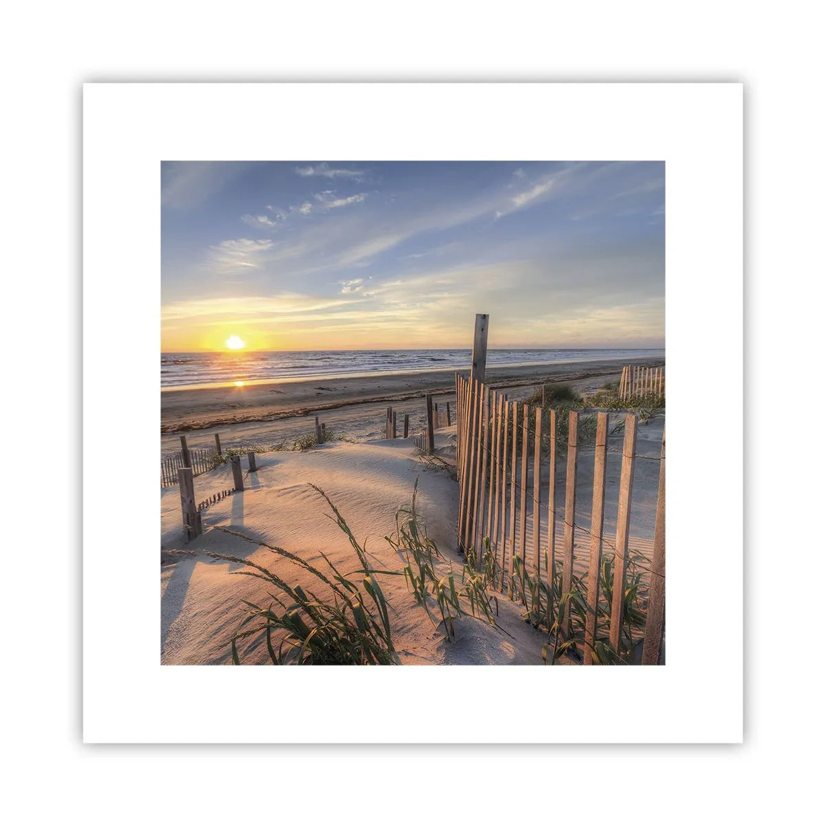 Poster - Light and Shade of the Wind - 30x30 cm