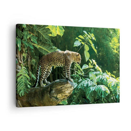 Canvas picture - A leopard standing on a rock surrounded by tropical vegetation - 70x50cm - Going Hunting? - Modern wall decoration for the living room and bedroom ARTTOR