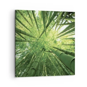 Canvas picture - In a Bamboo Forest - 50x50 cm