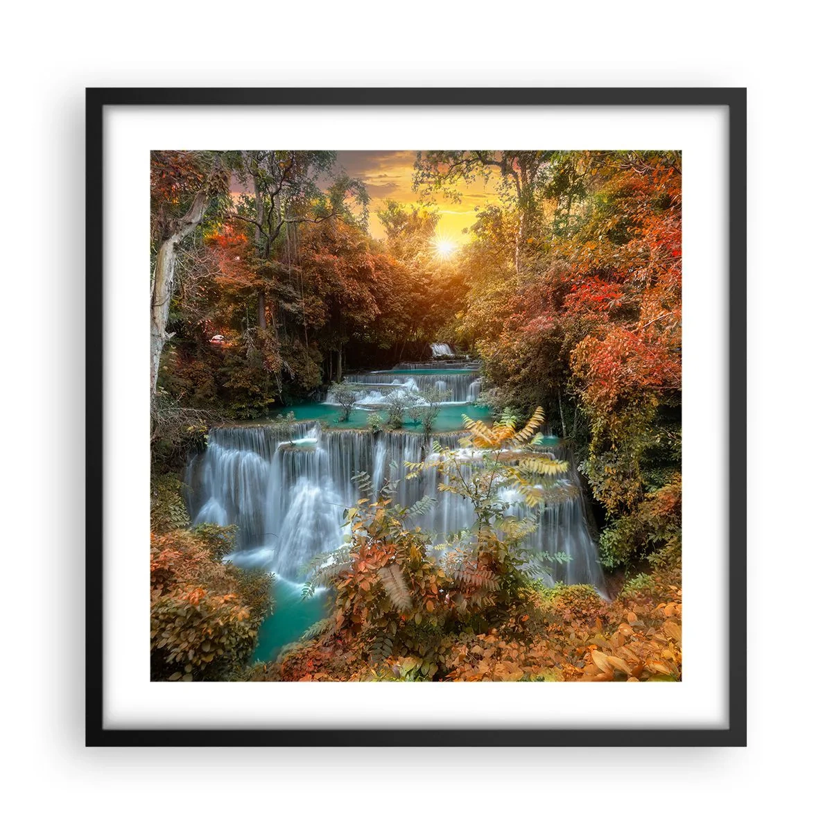 Poster in black frame - Hidden Forest Treasure - 50x50 cm