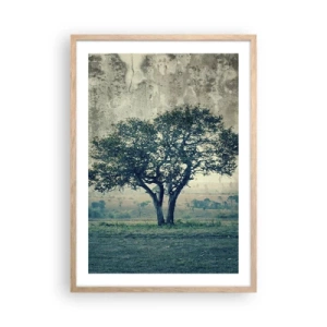 Poster in light oak frame - Apple Tree in Blue? - 50x70 cm