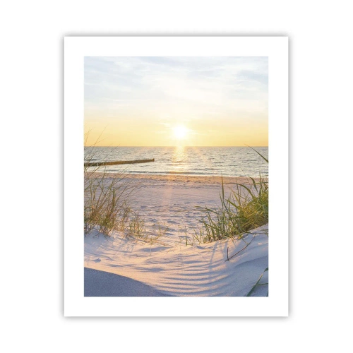 Poster - Sound of the Sea, Singing of the Birds, Wild Beach among Grass - 40x50 cm