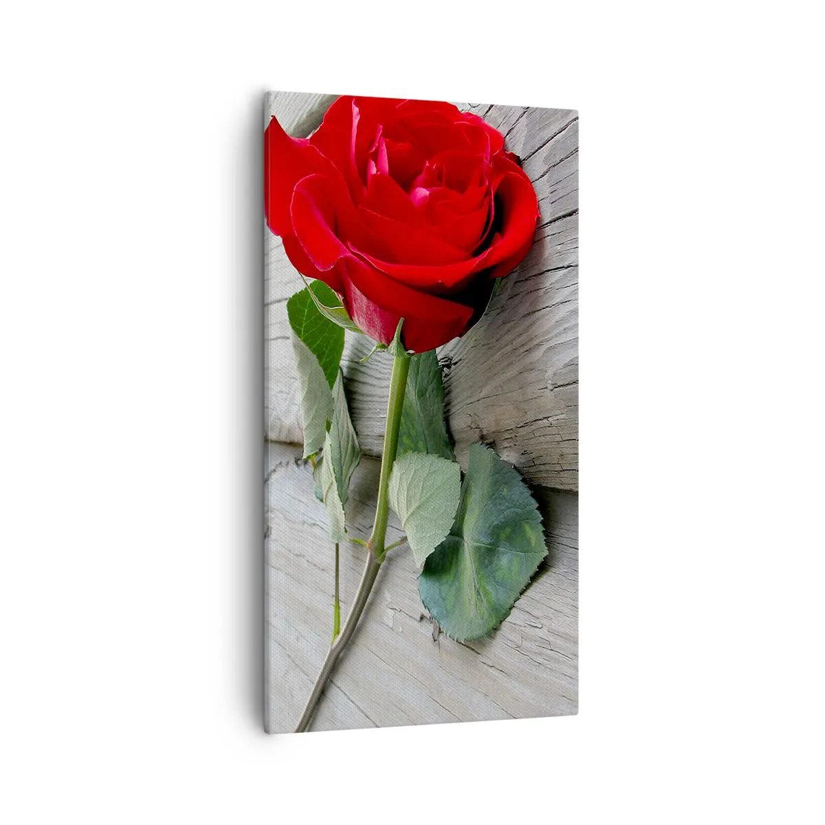 Canvas picture - A Study in Scarlet - 55x100 cm