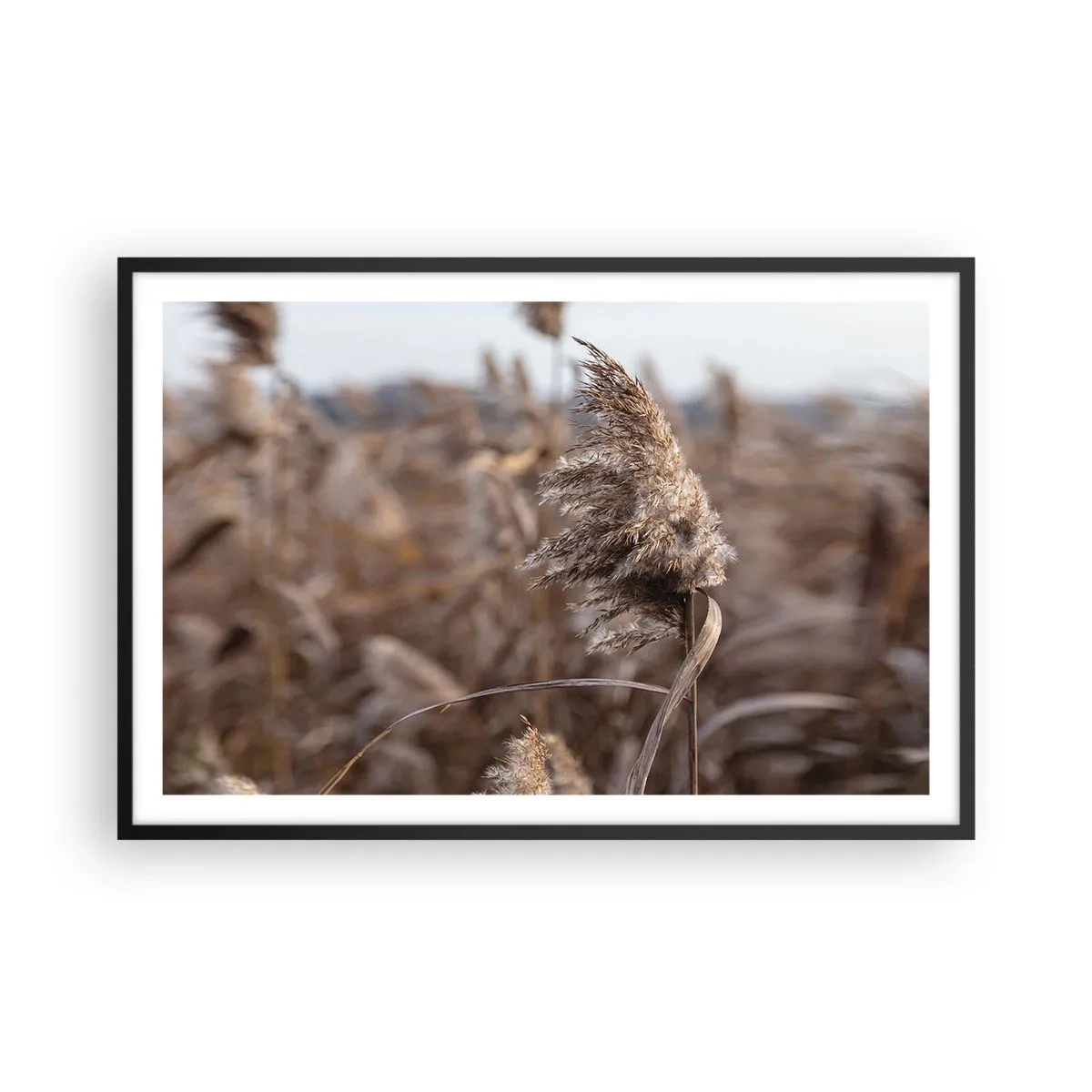 Poster in black frame - Time to Fly with the Wind - 91x61 cm