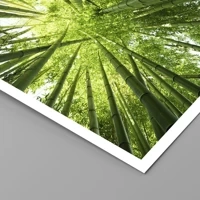 Unframed