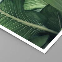 Unframed