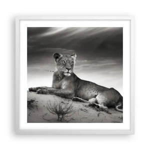 Poster in white frmae - Queen of Desert Is Resting - 50x50 cm