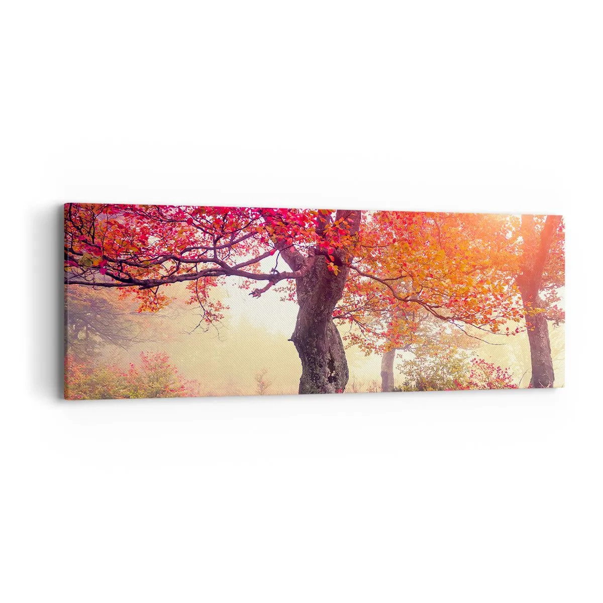 Canvas picture - In Full Bloom - 90x30 cm