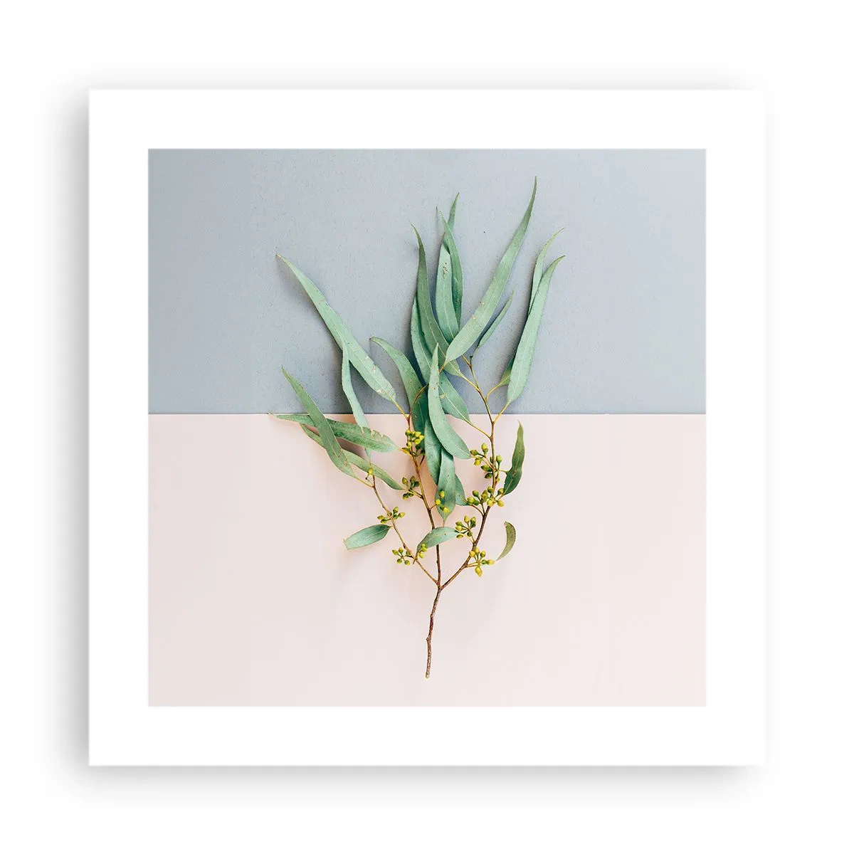 Poster - Pastel Subtlety - 40x40 cm