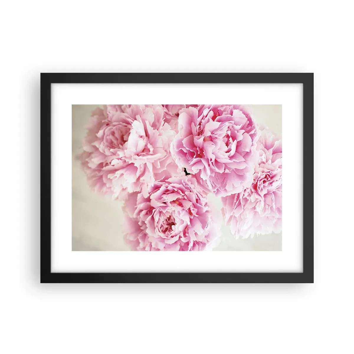 Poster in black frame - In Pink Splendour - 40x30 cm