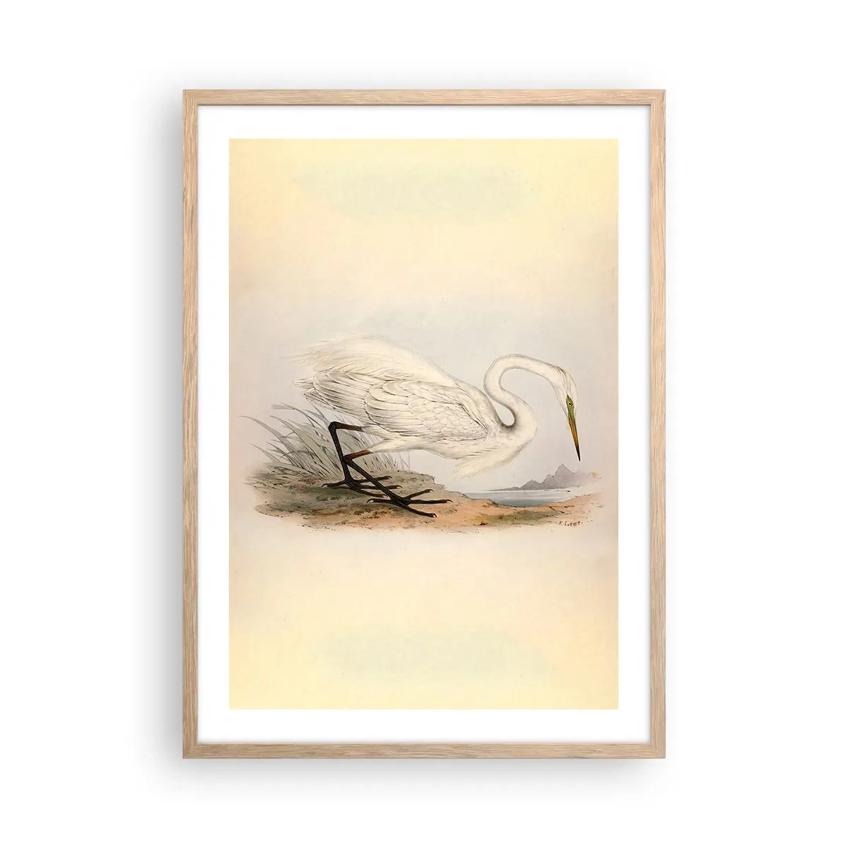 Poster in light oak frame - Lady on the Marsh - 50x70 cm