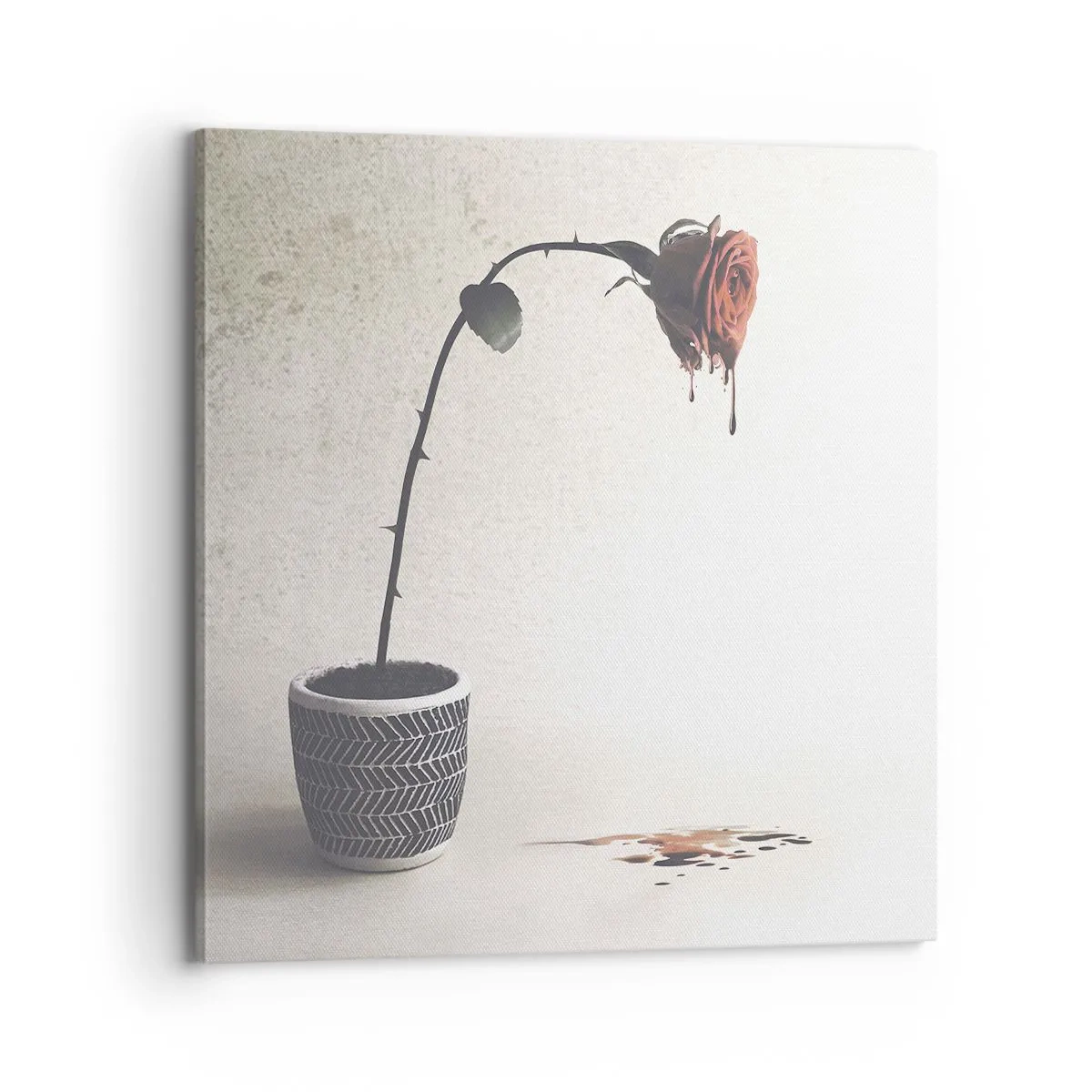 Canvas picture - Rosa Dolorosa - 70x70 cm