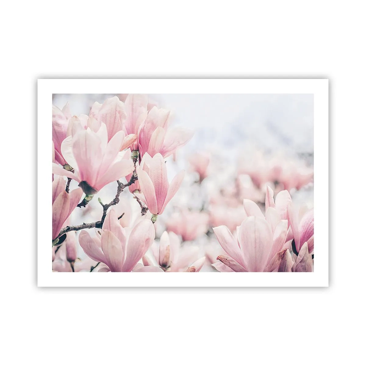 Poster - Ideal of Subtlety - 70x50 cm