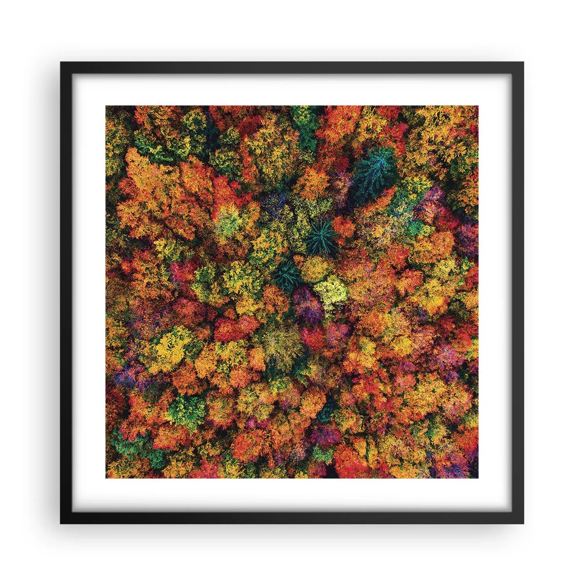 Poster in black frame - Bouquet of Autumn Flowers - 50x50 cm
