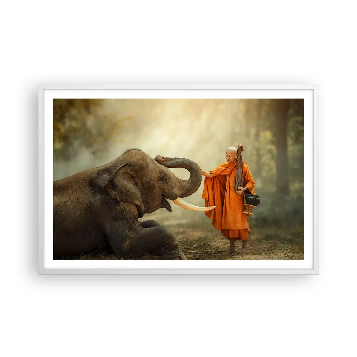 Poster in white frmae - Unexpected Meeting - 91x61 cm