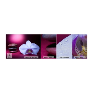 Photo Wallpaper Sample Premium Sand - Study of Freshness in Purple - Flowers, Spa, Stones - 100x30 cm