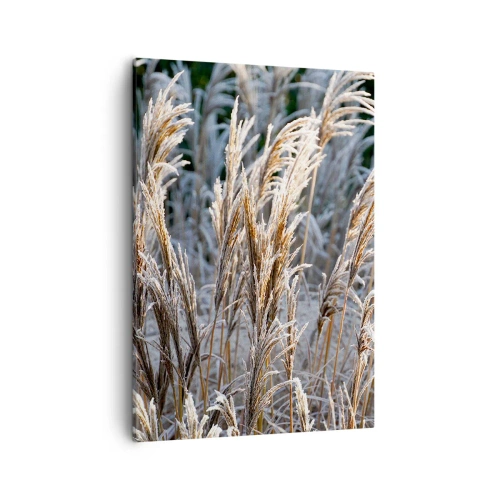 Canvas picture - Decorated with Frost - 50x70 cm