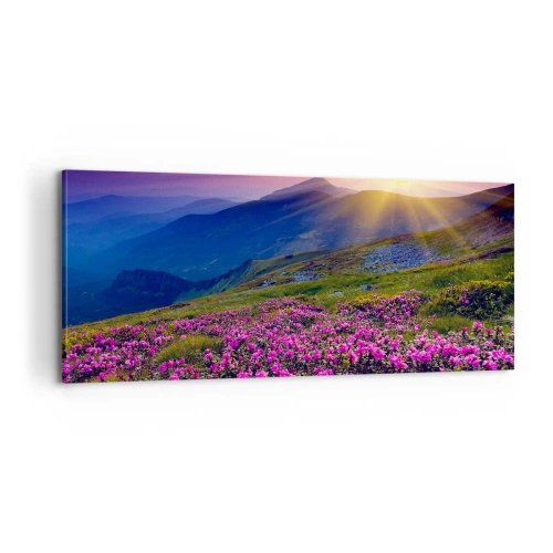 Canvas picture - Surrounded by Mountain Pine and Herbs - 100x40 cm