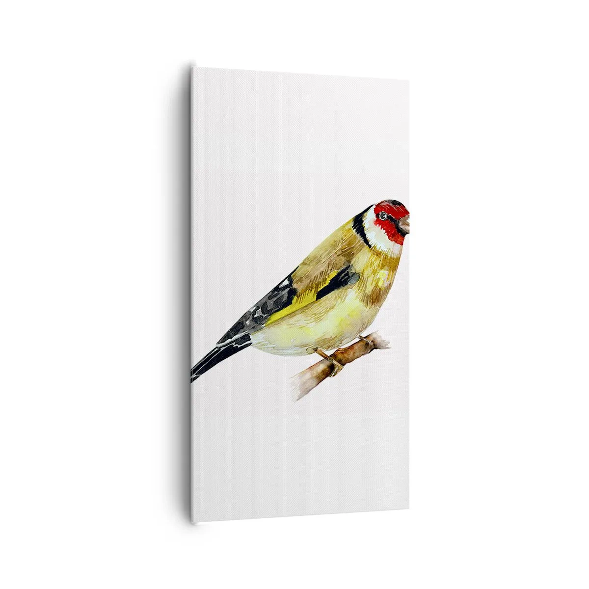 Canvas picture - Bird Portrait - 65x120 cm