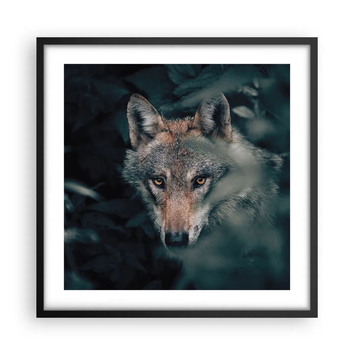 Poster in black frame - Hunter - 50x50 cm