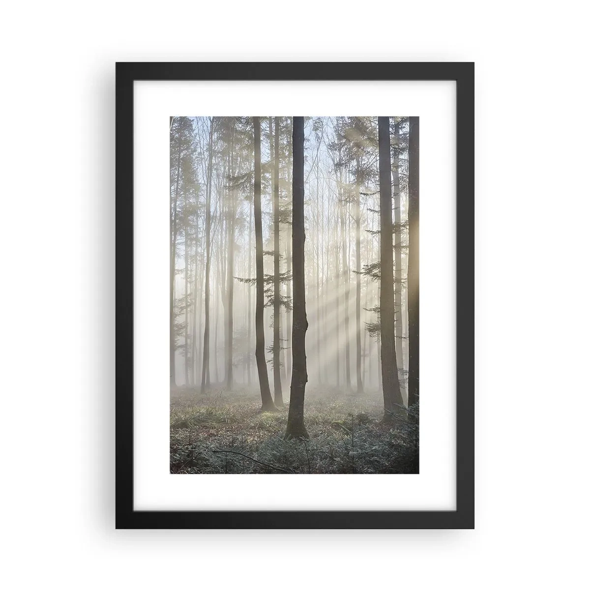 Poster in black frame - Fog Has Woken up Too - 30x40 cm