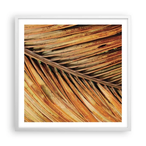 Poster in white frmae - Coconut Gold - 60x60 cm