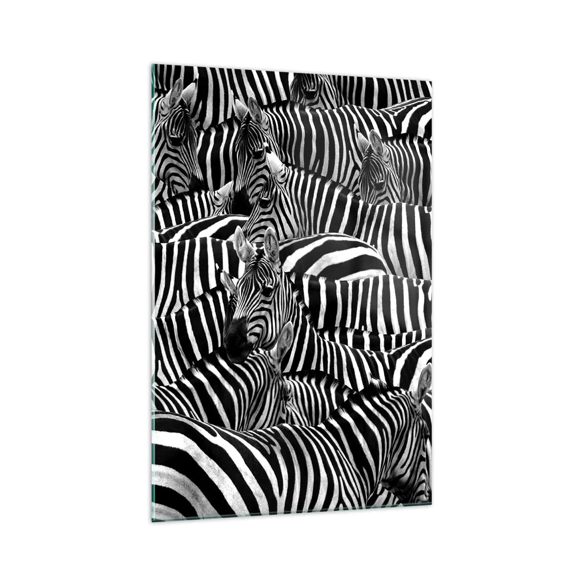 Glass picture - Striped Group Portrait  - 70x100 cm