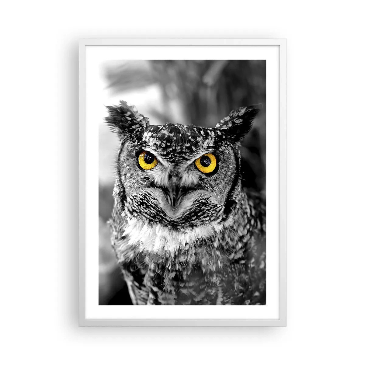 Poster in white frmae - Nothing Can Hide - 50x70 cm