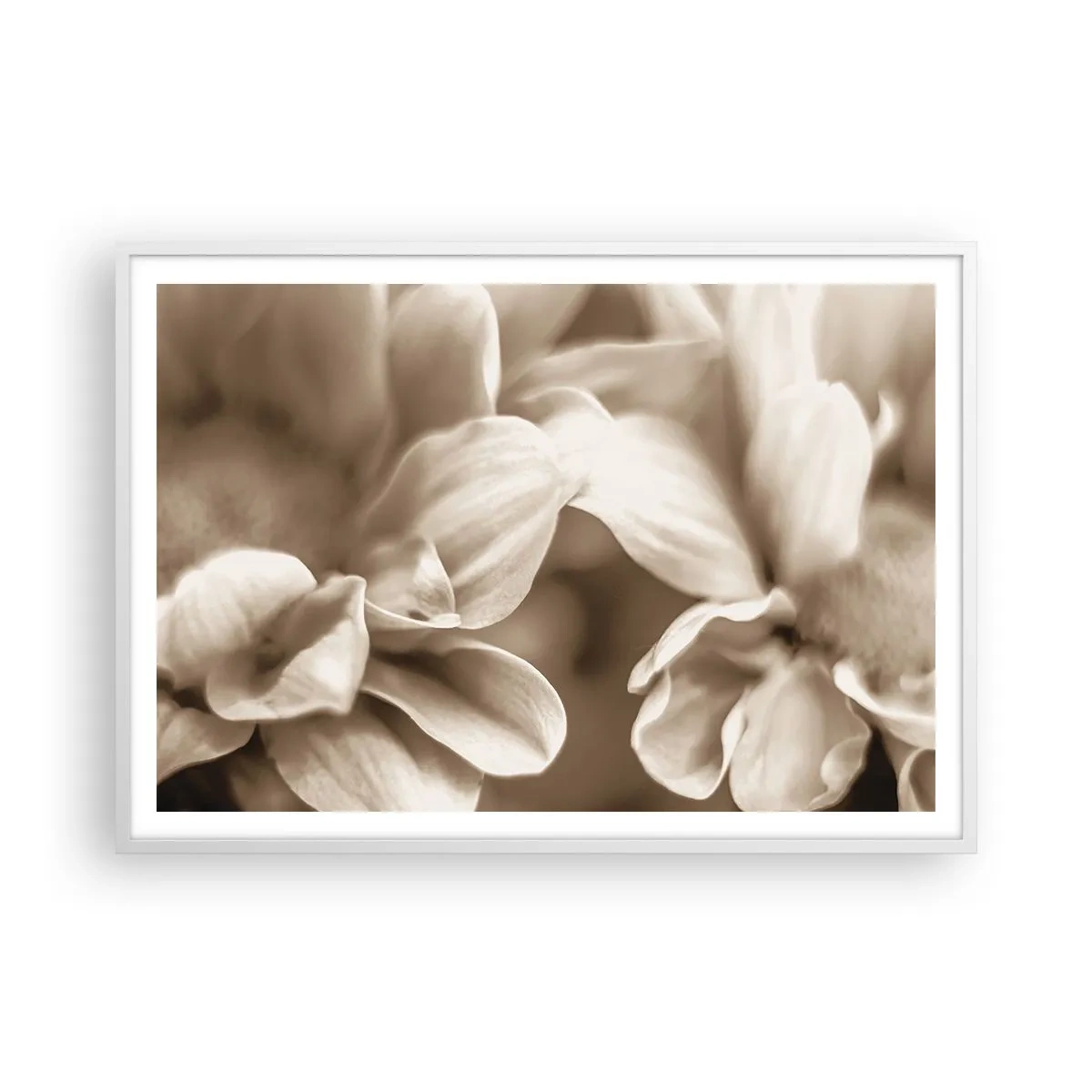 Poster in white frmae - Soft as a Smile - 100x70 cm