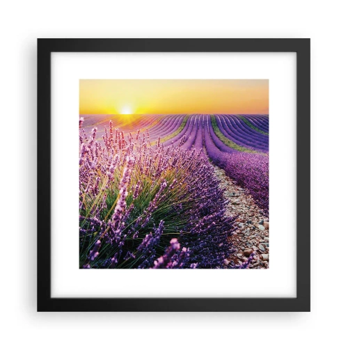 Poster in black frame - Fragrant Field - 30x30 cm