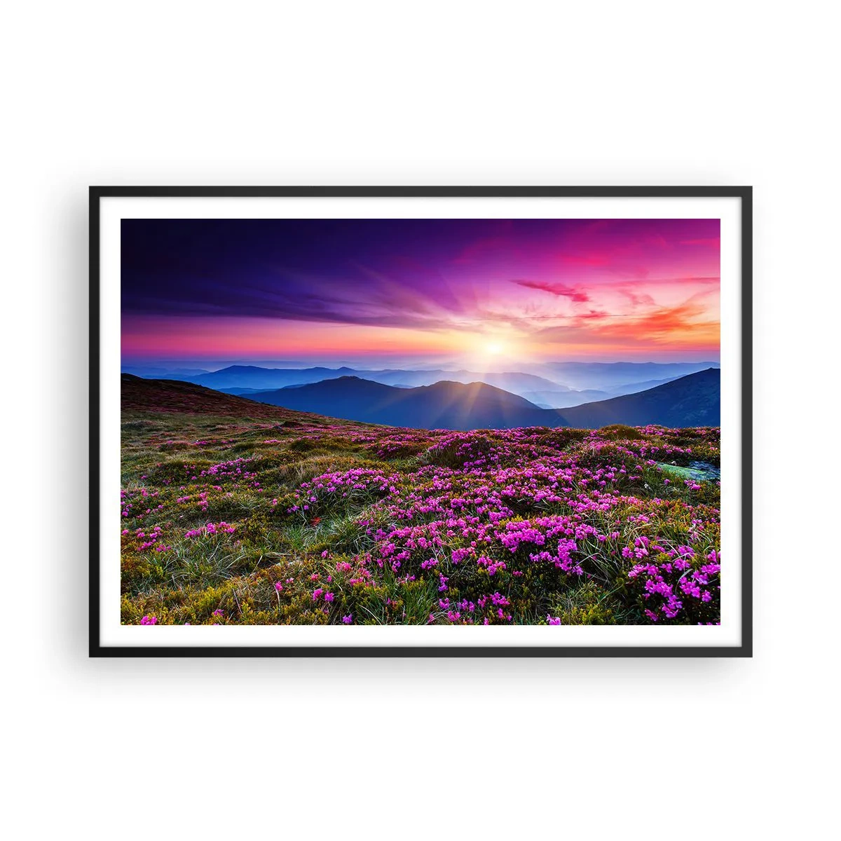 Poster in black frame - Smells Strongly of Herbs - 100x70 cm