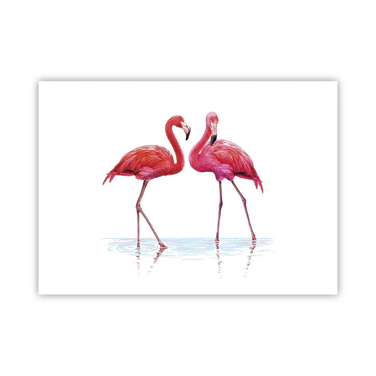 Poster - Pink Rendezvous - 70x50 cm