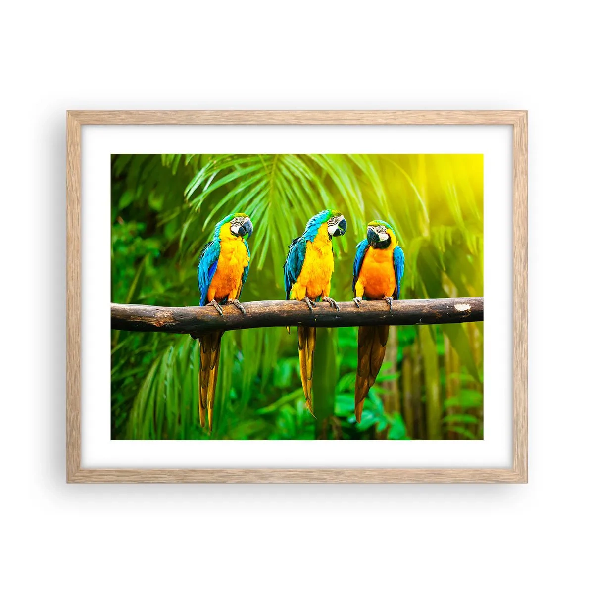 Poster in light oak frame - Did You Hear that She…? - 50x40 cm