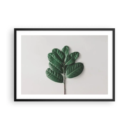 Poster in black frame - Drawing of Nature Itself - 70x50 cm