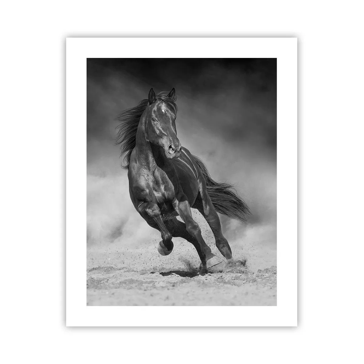 Poster - Worthy of Emir Himself - 40x50 cm