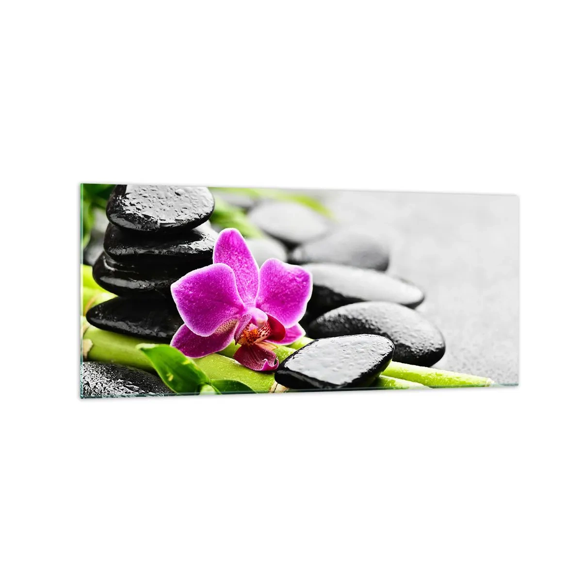 Glass picture - In a Peaceful Balance - 120x50 cm