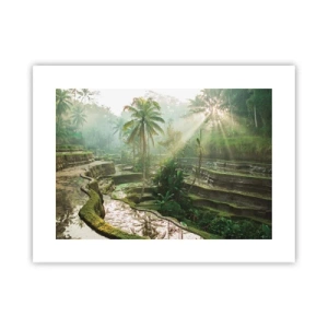 Poster - Maturing in the Sun - 40x30 cm