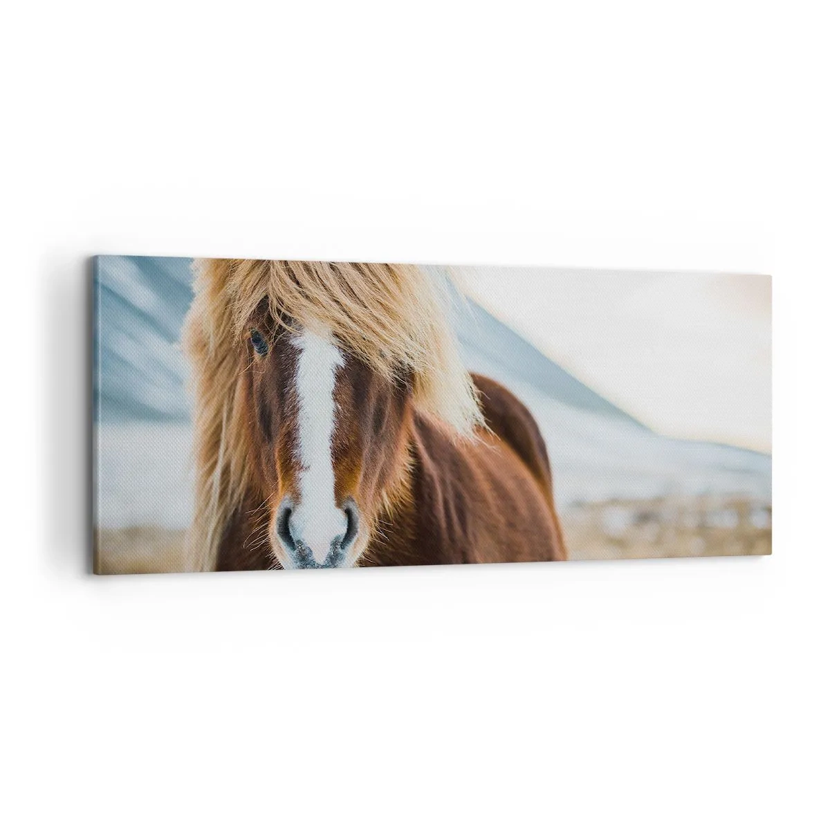 Canvas picture - Can You Feel the Freedom? - 100x40 cm