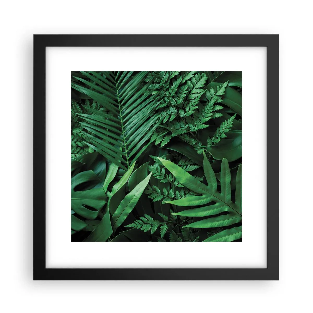Poster in black frame - In a Green Hug - 30x30 cm